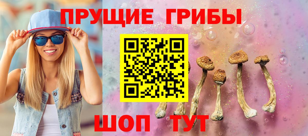 Галлюциногенные грибы Psilocybe Москва